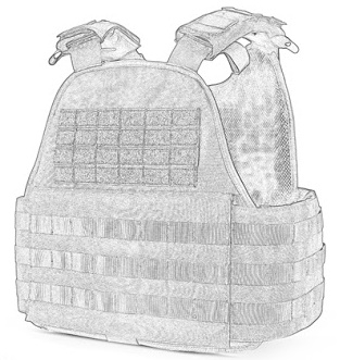 Carriers